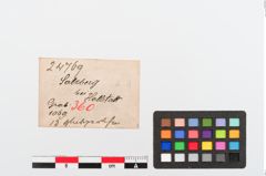 Etiketten zu Perlenkette (NHMW-PRAE-024769)
